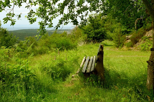 对比39号 对比39号