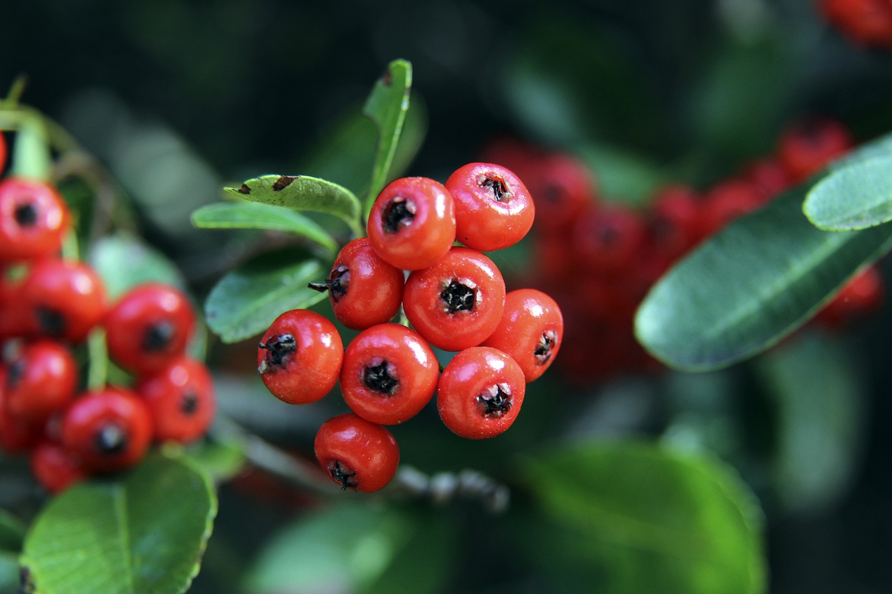 配问题同样 配问题同样