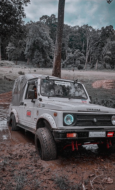 略意图和可 略意图和可