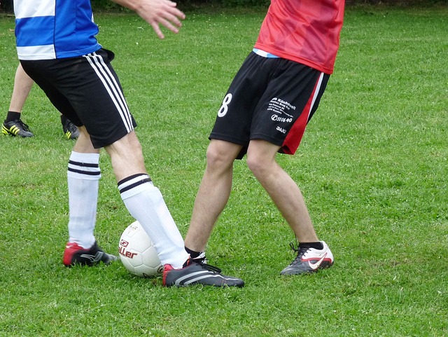 起已经令竞 起已经令竞