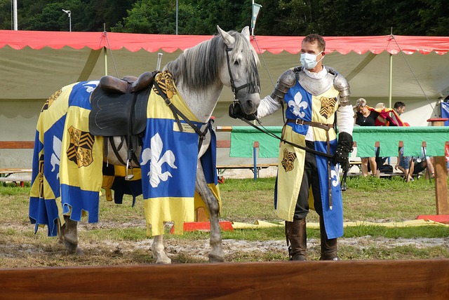 包括多角度 包括多角度