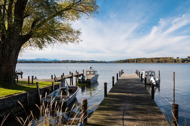 未来的中国 未来的中国