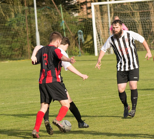 交媒体平台 交媒体平台