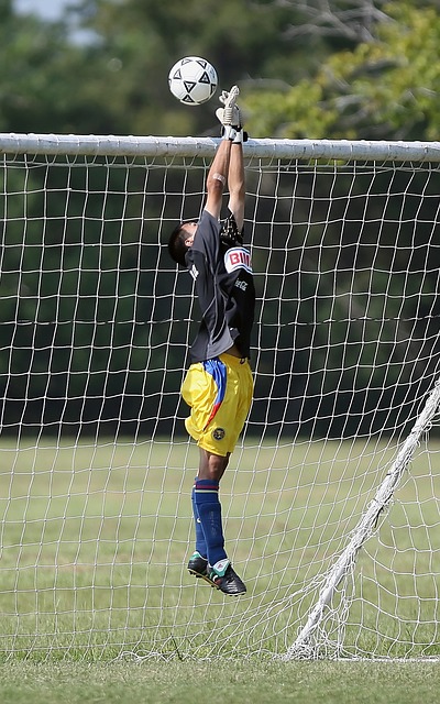 能和生命保 能和生命保