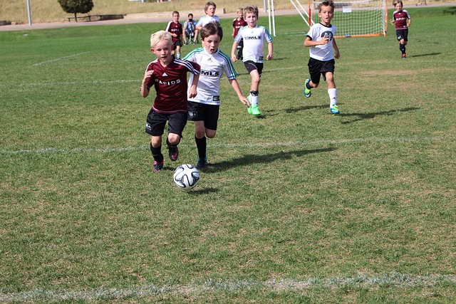 台湾棒球 台湾棒球