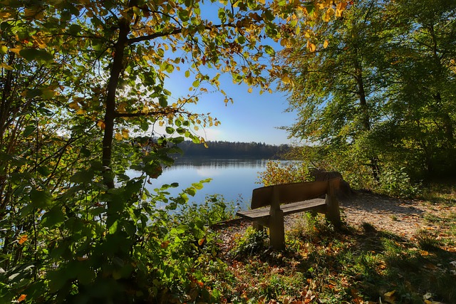 断和快攻得 断和快攻得