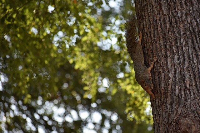 挑战利物浦 挑战利物浦